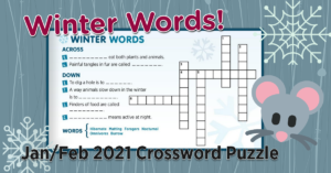 Winter Words Crossword Puzzle