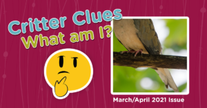 Critter Clues March/April 2021