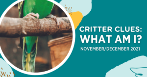 Critter Clues: November/December 2021