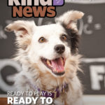 Kind News cover with Chaser the dog, smiling on the cover. "Ready to play is ready to learn!"