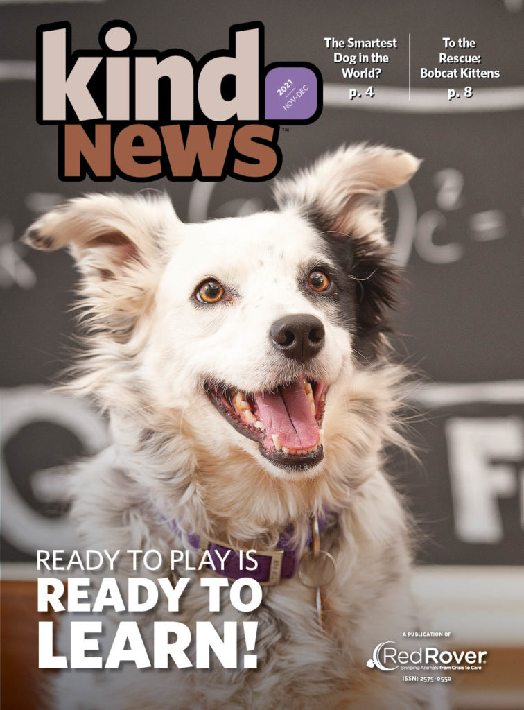Kind News cover with Chaser the dog, smiling on the cover. "Ready to play is ready to learn!"