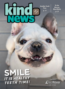 Kind News Cover: white French bulldog smiling at camera