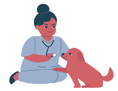 Illustration of woman veterinarian checking on a dog