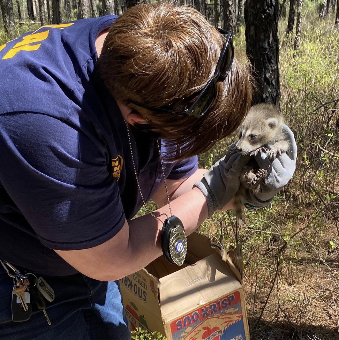 QUIZ Which animalthemed career would be the best fit for you? Kind