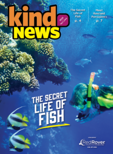 Kind News, May/June 2022, The Secret Life of Fish