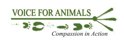 Voice for Animals Logo