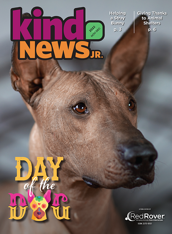 Kind News Jr. Cover, Nov/Dec 2022, Day of the Dog