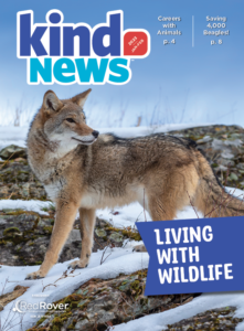 Kind News issue cover - coyote standing on snowy hill