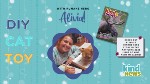 Text reads "DIY Cat Toy with Humane Hero Alivia.; Photo of young girl with book next to orange cat. Banner next to issue of magazine reads "Check out Alivia's Humane Hero story in the May/June issue of Kind News Magazine!"
