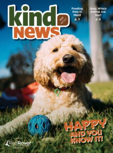 Magazine cover with smiling tan dog with tongue out. Dog is sitting on grass with a blue rubber ball between front paws.