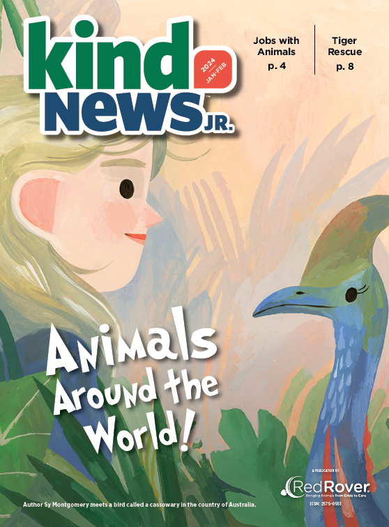 Cover of January/February issue of Kind News magazine. Cover features illustration of woman with blonde hair (named Sy Montgomery) meeting an Australian bird called a cassowary.