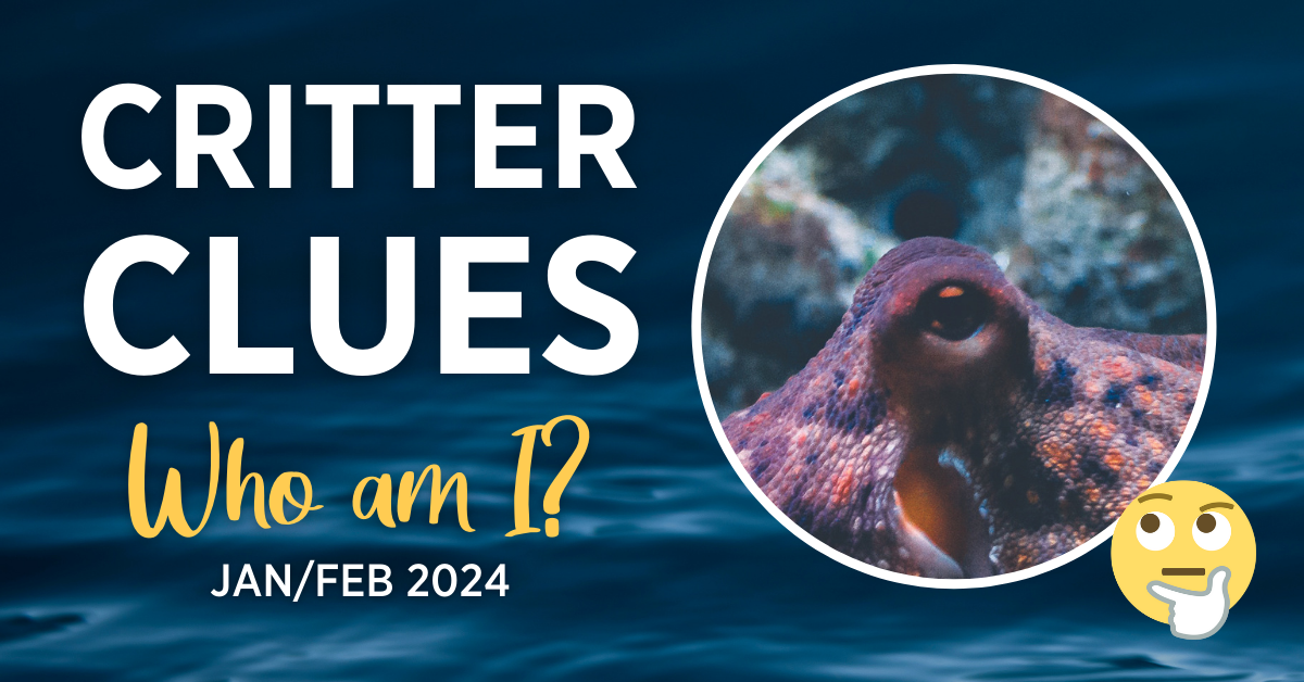 Critter Clues January February 2024 Issue Kind News Magazine   2024 JanFeb Critter Clues 