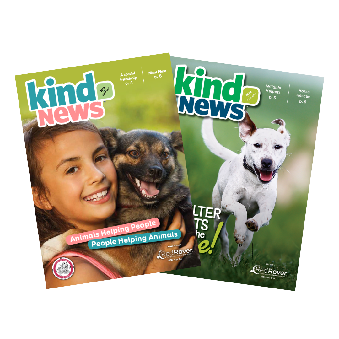 2025 Expo - Kind News magazine